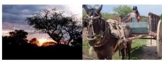 Diario Perfil: “Santiago del Estero es una zona liberada para la usurpación”