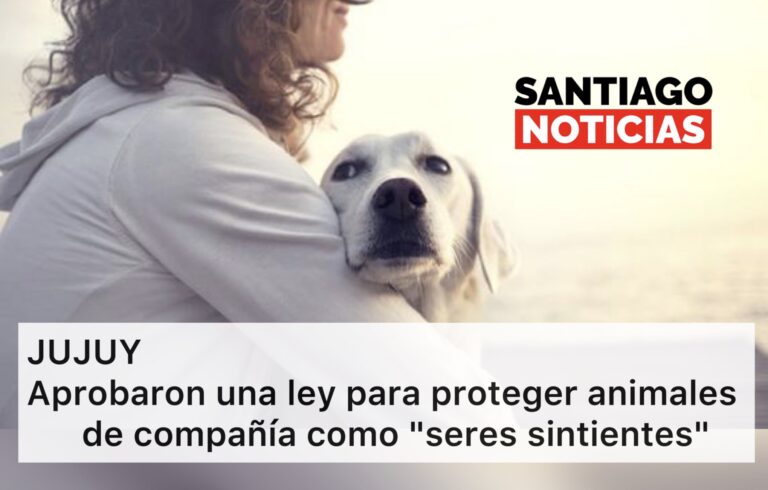 Aprobaron una ley para proteger animales de compañía como «seres sintientes»