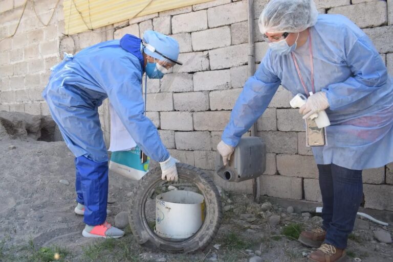 Jujuy: se confirmaron 3 nuevos casos de dengue