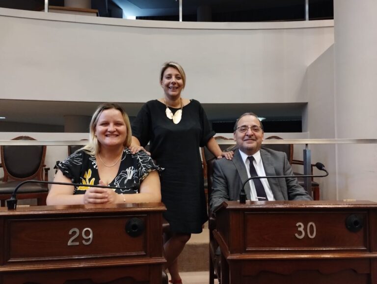 Diputados de JXC presentaron proyecto de Ley que reglamenta el uso de las aeronaves provinciales