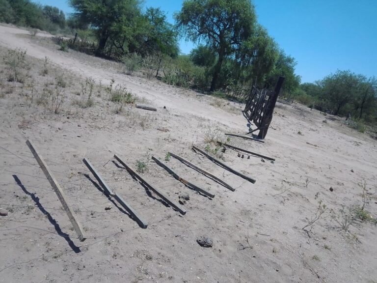 Tierras: “En Santiago del Estero el derecho a la propiedad privada no se aplica”