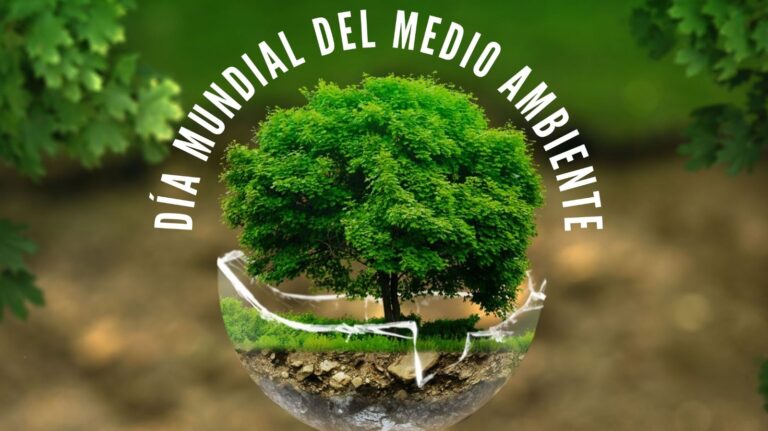 Día del Ambiente: ¡Afuera!