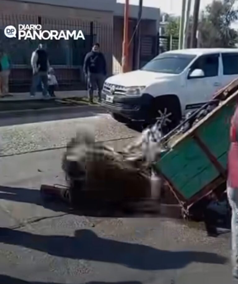 NATALIA NEME PROPONE TERMINAR CON LA TRACCIÓN A SANGRE Y ACOMPAÑAR LA RECONVERSIÓN LABORAL