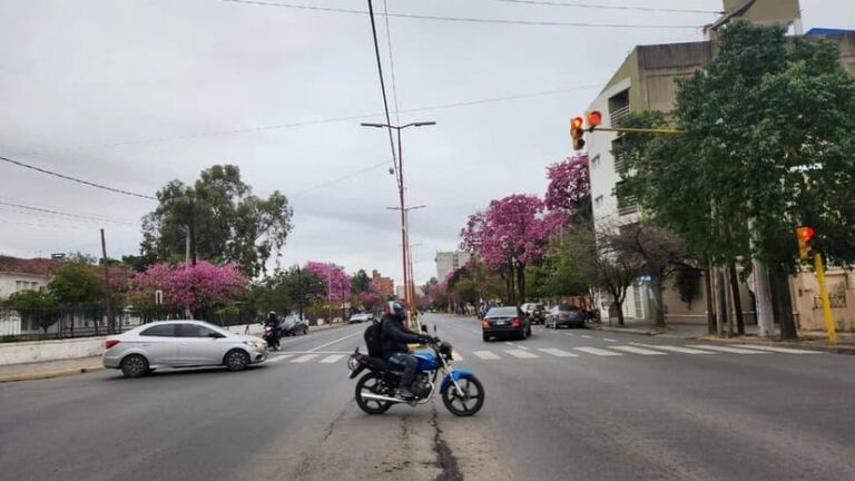 FERIADO DEL 17 DE AGOSTO: ASÍ FUNCIONAN LOS COMERCIOS Y EL TRANSPORTE EN SANTIAGO DEL ESTERO
