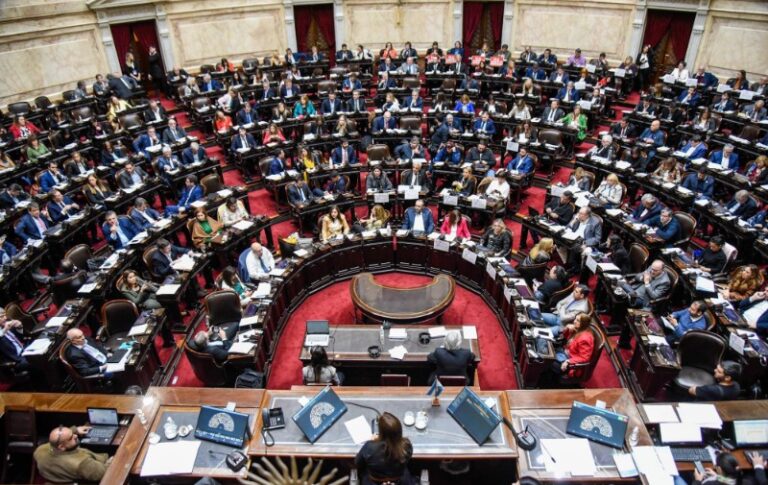 DIPUTADOS: LA OPOSICIÓN BUSCA RECHAZAR EL DNU 70 Y DEBATIR DISCAPACIDAD Y DEUDAS FAMILIARES