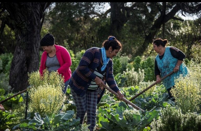 RECONOCIERON A 12 TRABAJADORAS RURALES MIGRANTES DE SANTIAGO DEL ESTERO
