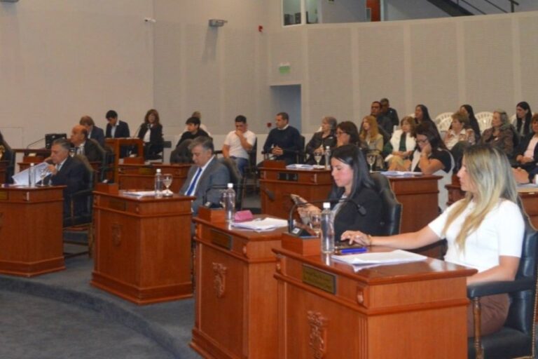 EL CONCEJO DELIBERANTE DE CAPITAL MODIFICÓ LAS REGLAS PARA TAXIS Y RADIOTAXIS